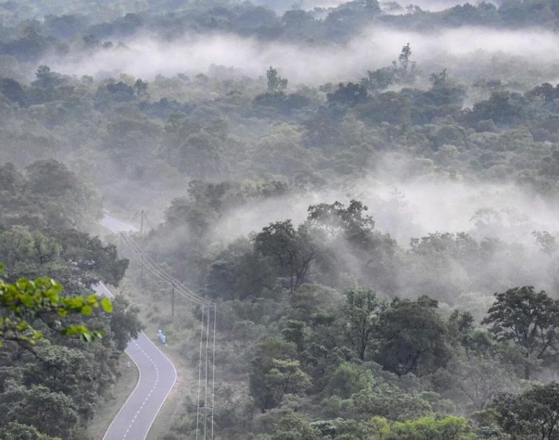 Changing How We Think About Economic Growth and Nature