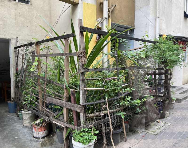 Food for Thought: Rethinking Home Gardening and Subsistence Agriculture