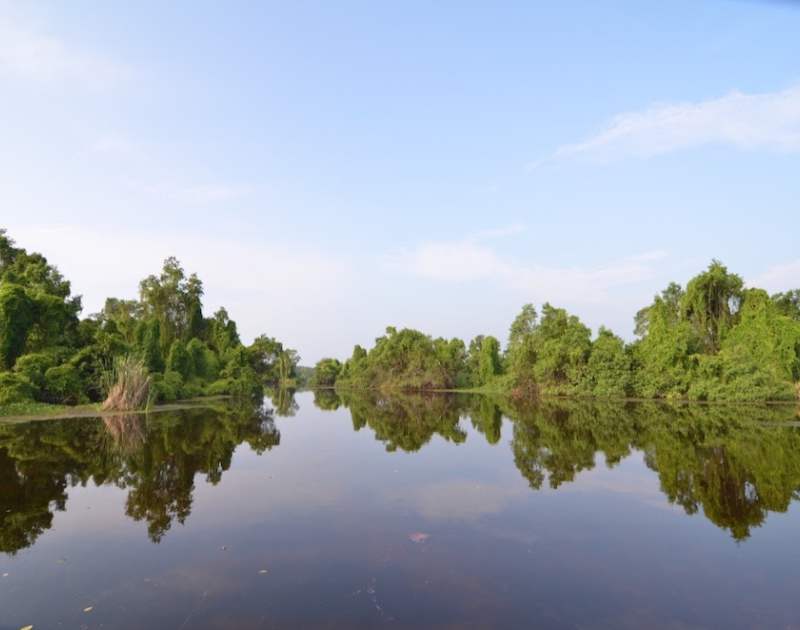 New Publication: ‘Debt for Nature Swaps’ Knowledge Primer