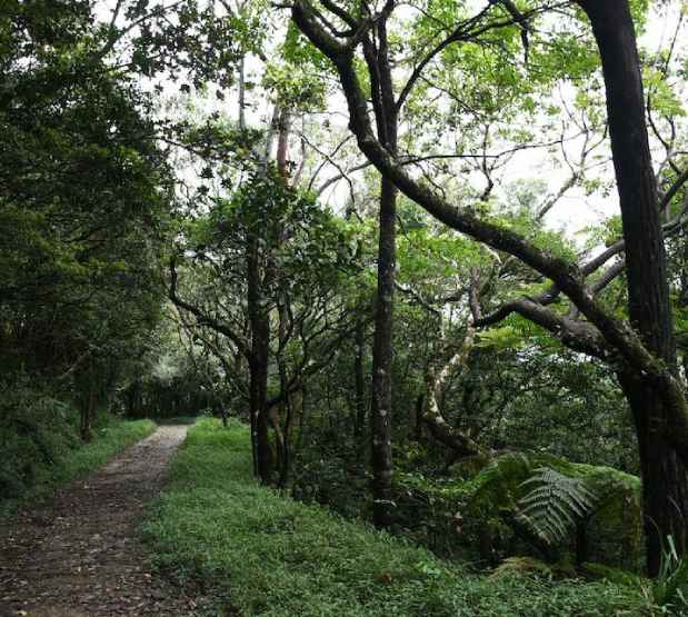 CSF Natural Capital Forum 619x555