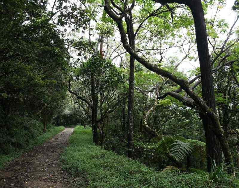 Why Moving Beyond GDP is Essential to Avert Planetary Disaster