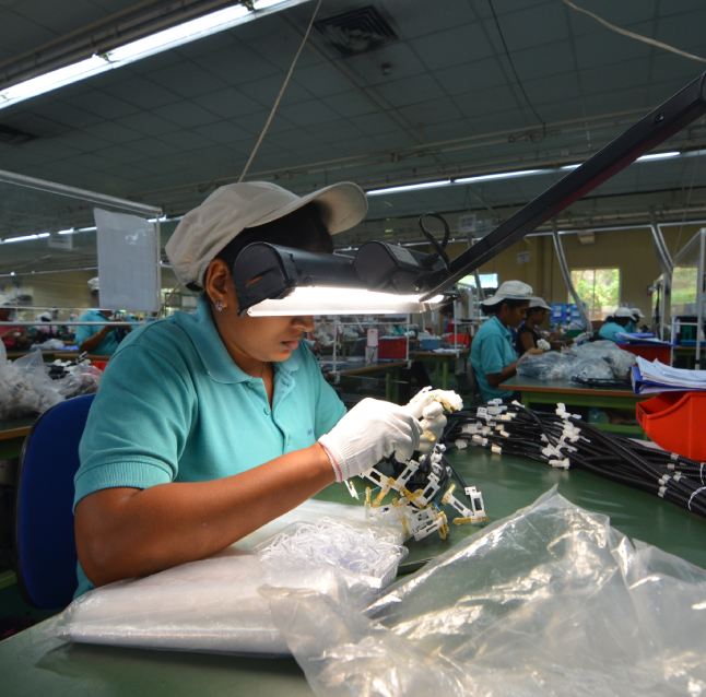 OUR WORK AND FOCUS 646x638