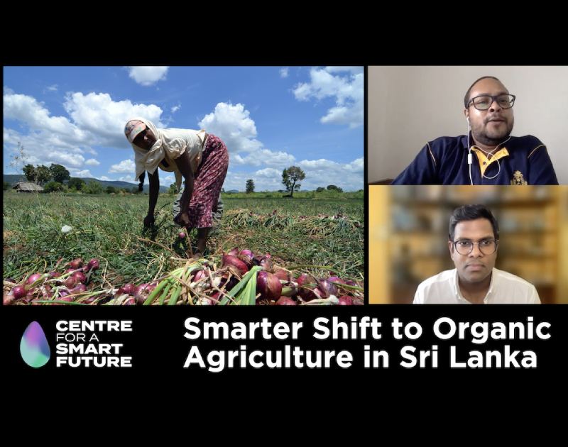 Shift to Organic Agriculture Must be Staged and Strategic