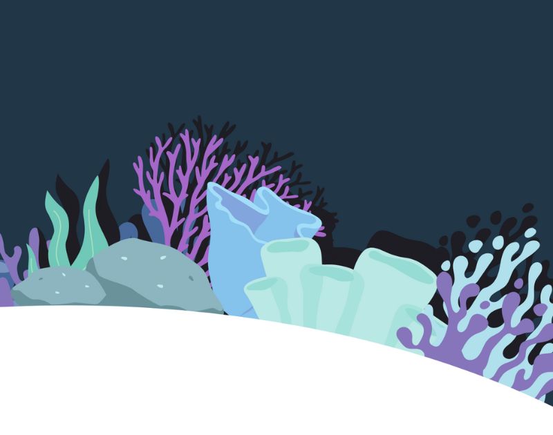 graphic of corals in the sea