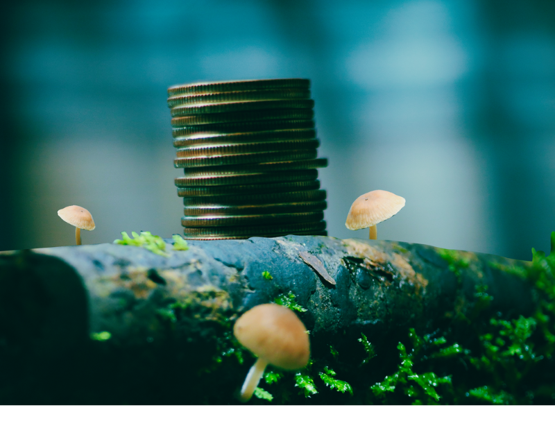 graphic of fungi and coins near a log