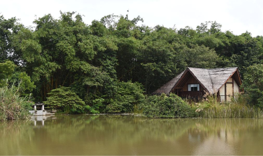 Hotel in a regenerated wetland