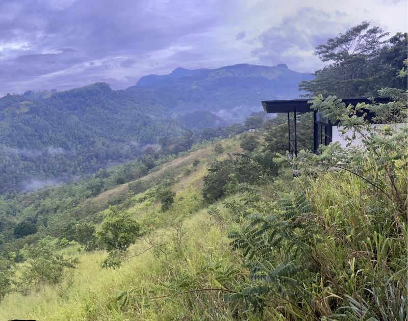 a jungle cabin in the hills