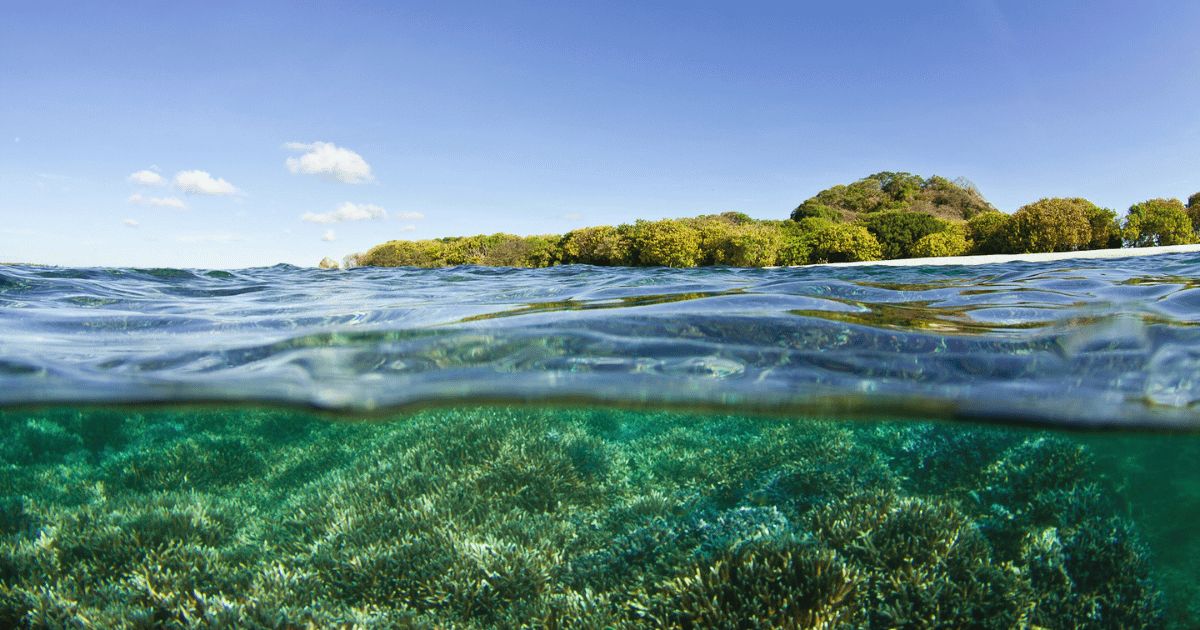 Open Access Materials on CSF's Work in Conservation Finance