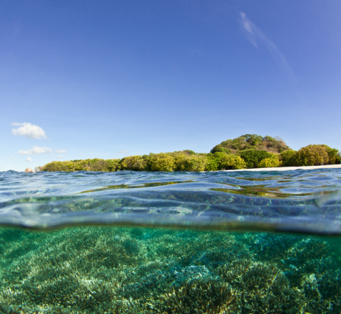 coastline and corals underwater in Sri Lanka
