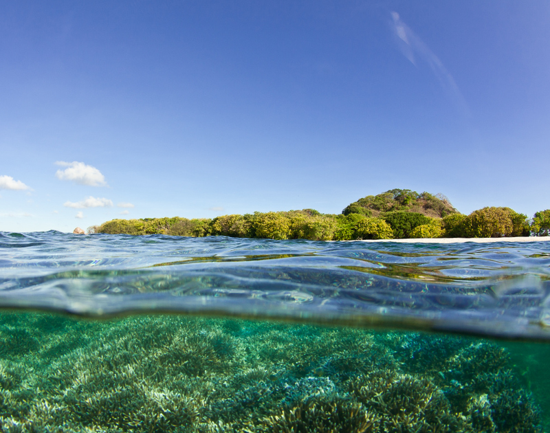 coastline and corals underwater in Sri Lanka