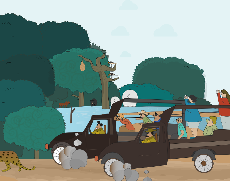 illustration of tourists travelling in safari jeeps in a national park viewing wildlife.