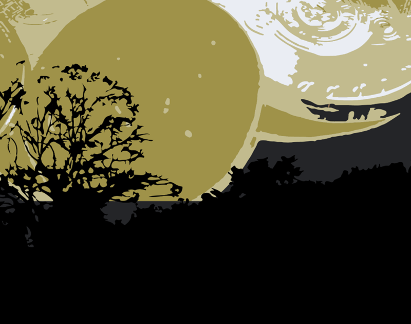 Getting the Price Right: Rationalizing Park Entry Fees and the Case of Yala National Park