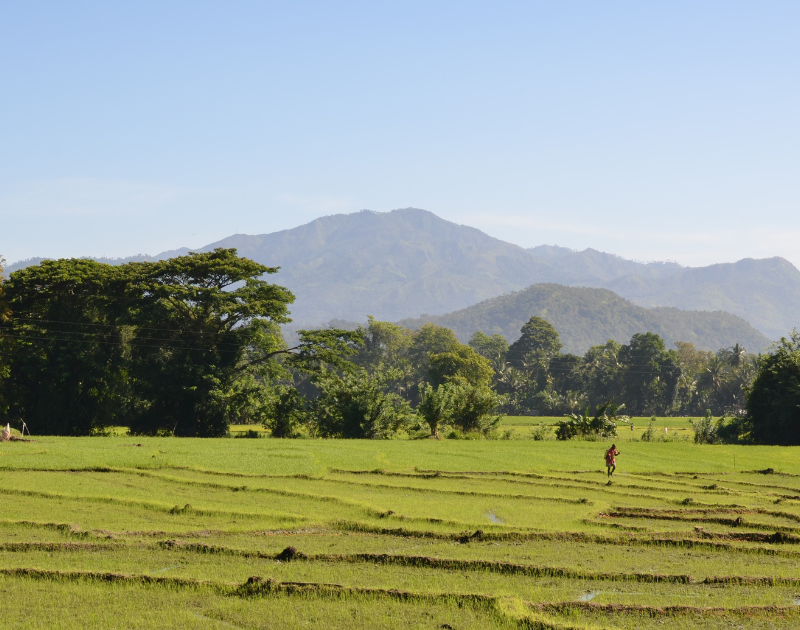 Why Sri Lankan Banks Must Urgently Consider Climate Risks in their Lending
