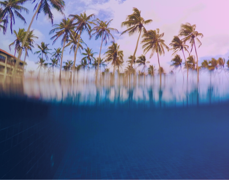 Policy Brief: ‘Private-Public Collaboration in Tourism Decision-Making in Sri Lanka: Time to Rethink Representation?’