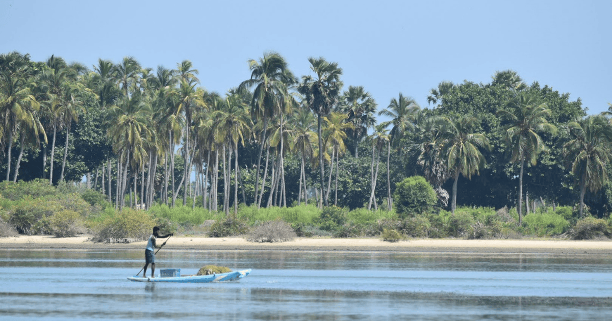 Lessons from Kalpitiya for Sri Lanka’s Next Wave of Tourism Land Leases