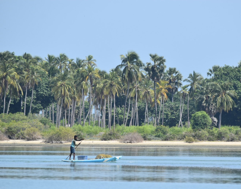 Policy Brief: Tourism Development and Land Leases in Sri Lanka